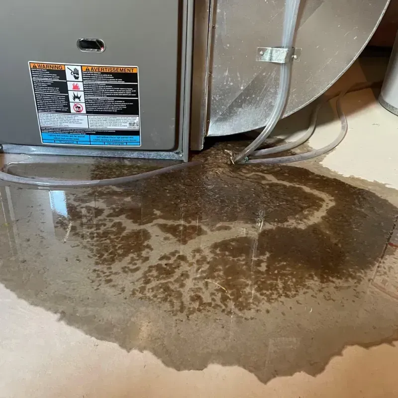 Appliance Leak Cleanup in Tonto Basin, AZ